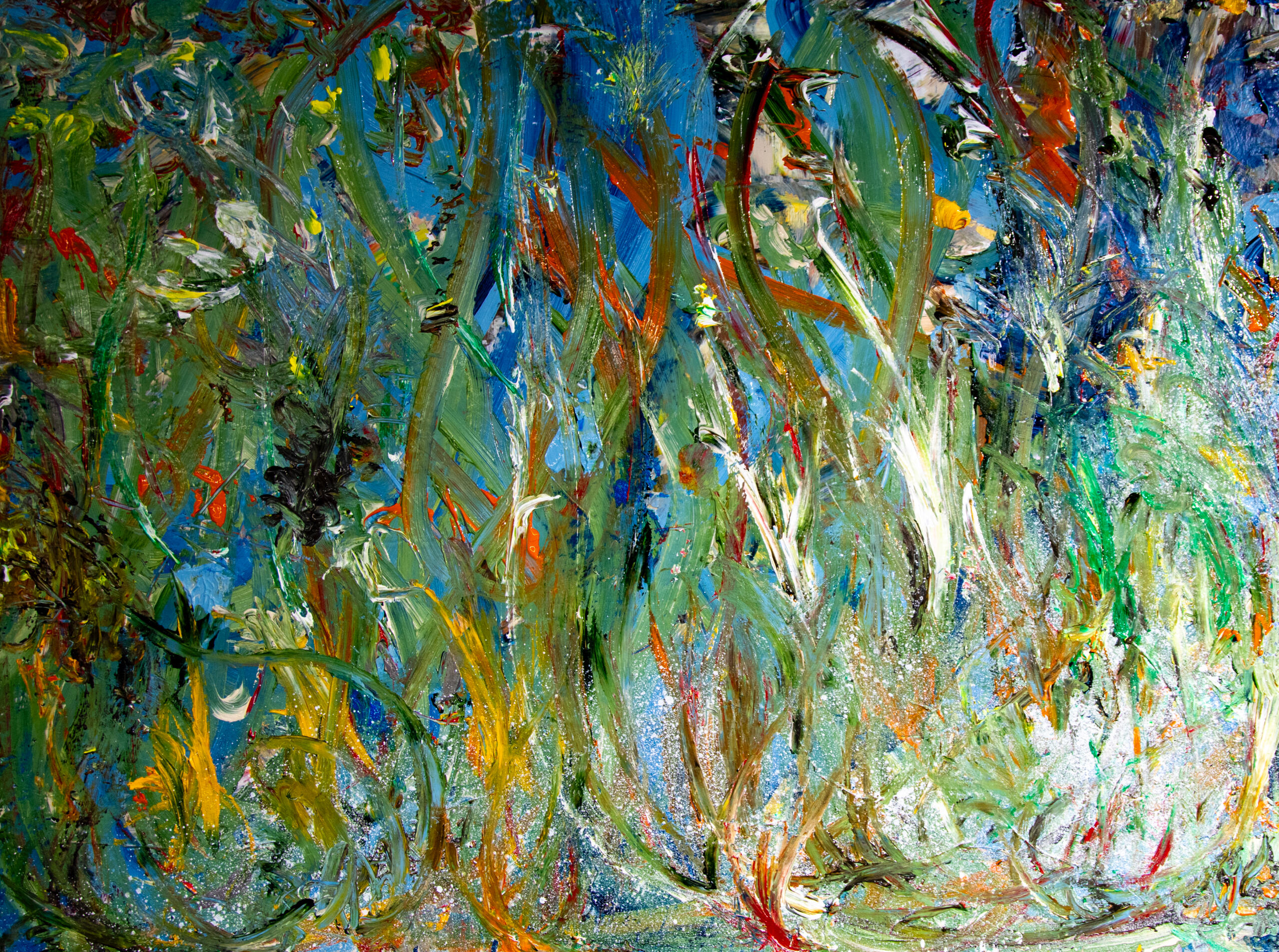 Playing in the Backyard